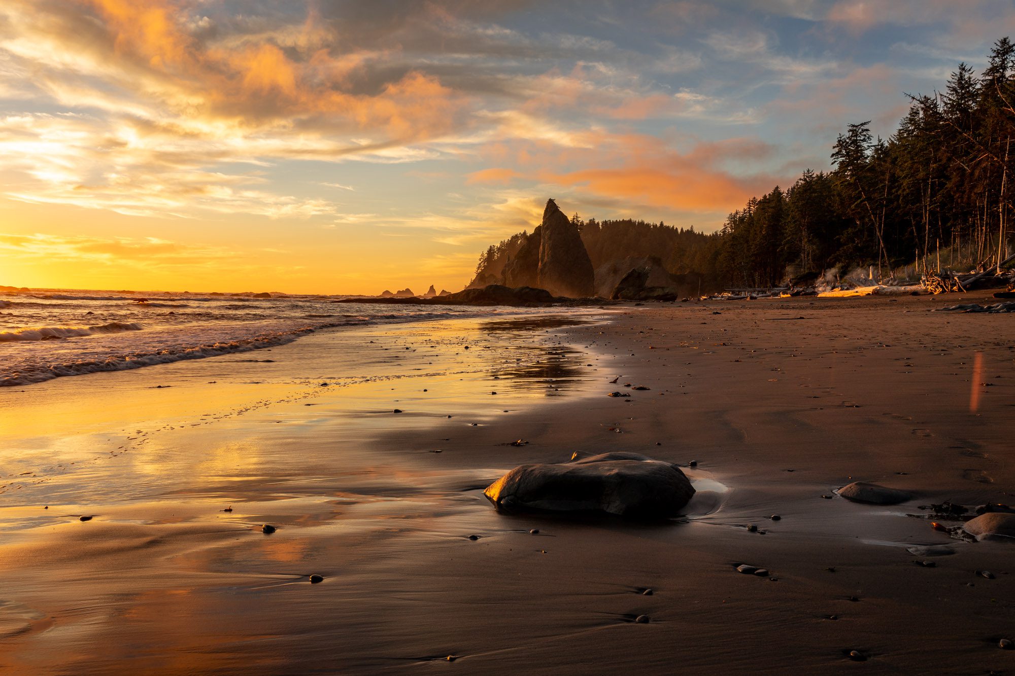 The Best Time To Visit Olympic National Park Complete Guide