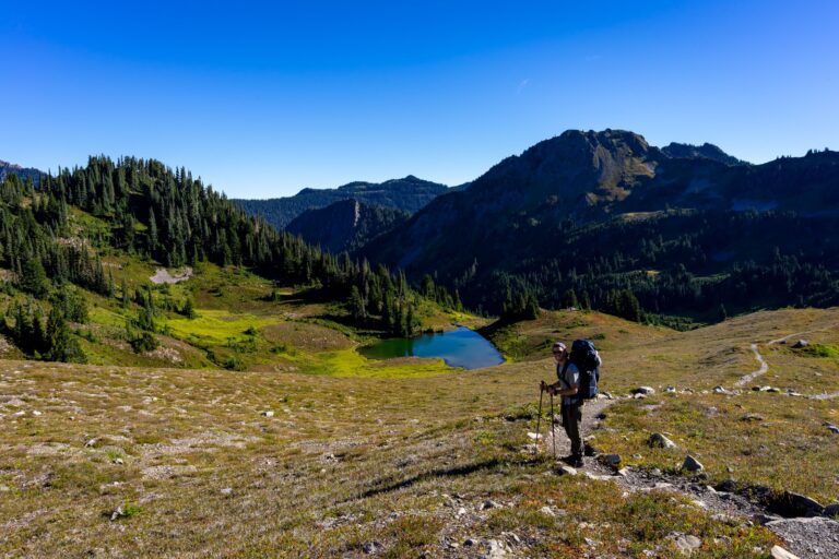 The 13 Best Hikes in Olympic National Park (Complete Guide)