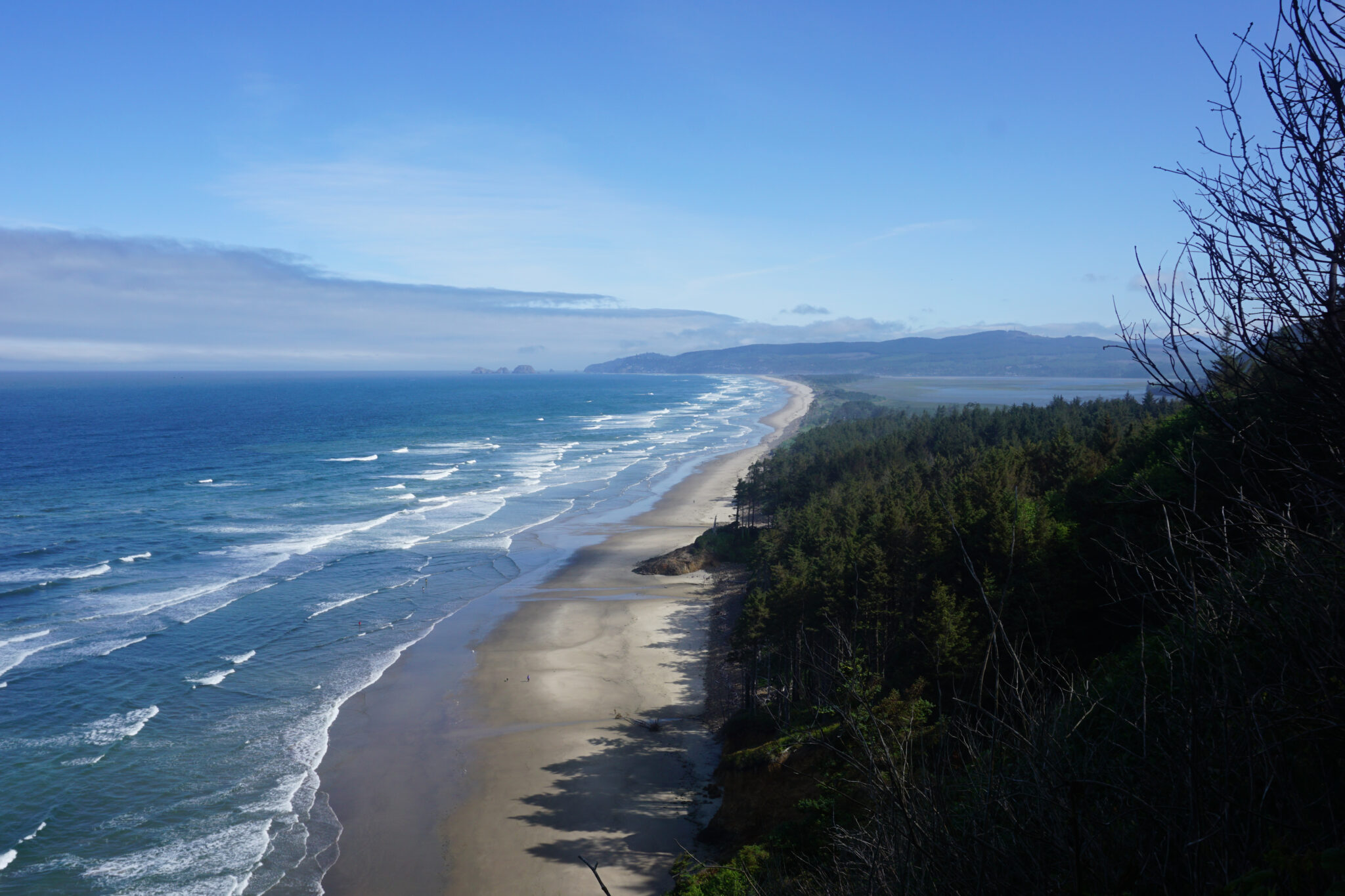 The 17 Best Hikes On The Oregon Coast: A Complete Guide