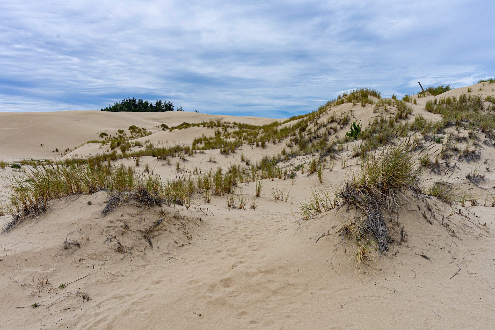 The 17 Best Hikes on the Oregon Coast: A Complete Guide