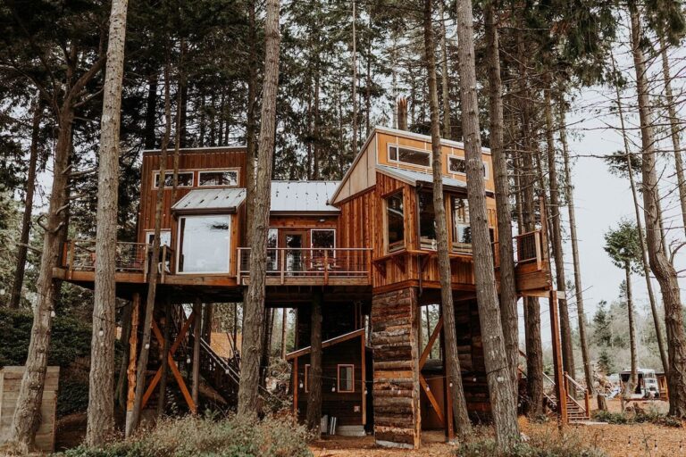 19 Amazing Treehouses to Book in Washington State