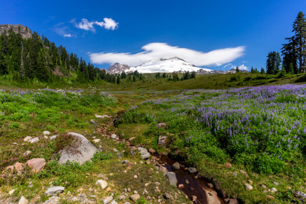 9 Incredible Hikes Near Mt. Baker: A Complete Guide (2024)