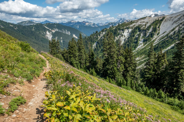 9 Incredible Hikes near Mt. Baker: A Complete Guide (2024)