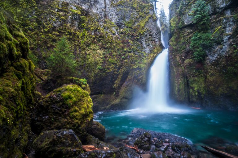 The  13 Best Hikes in Portland: Complete Portland Hiking Guide