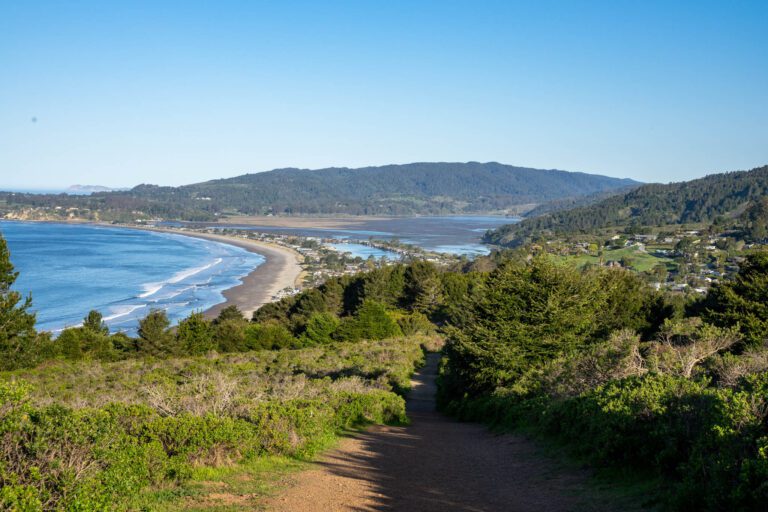 14 Amazing Day Trips from San Francisco to Plan Now