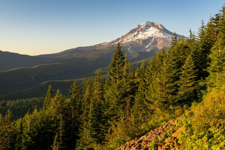 The 11 Best Hikes at Mount Hood: A Complete Hiking Guide