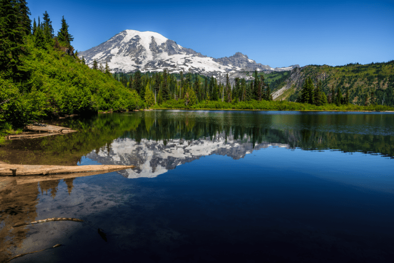 The Best Things to Do in Mount Rainier National Park