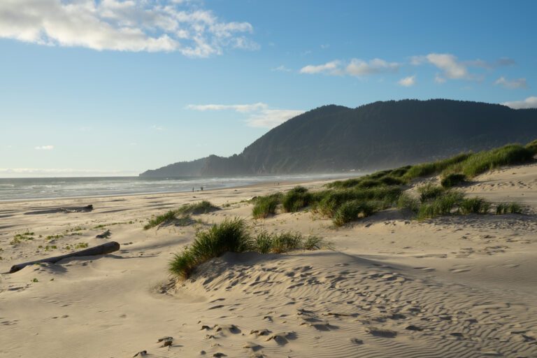 How to Plan an Oregon Coast Road Trip: A Complete Guide