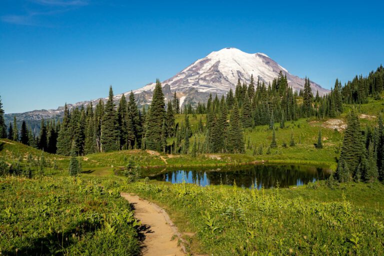 How to Plan a Perfect Day Trip to Mount Rainier from Seattle