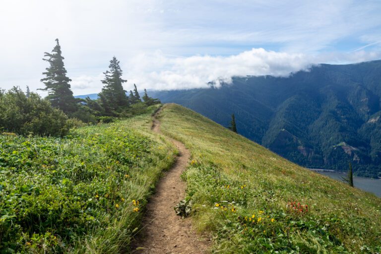 The 16 Best Hikes in Oregon: Complete Oregon Hiking Guide