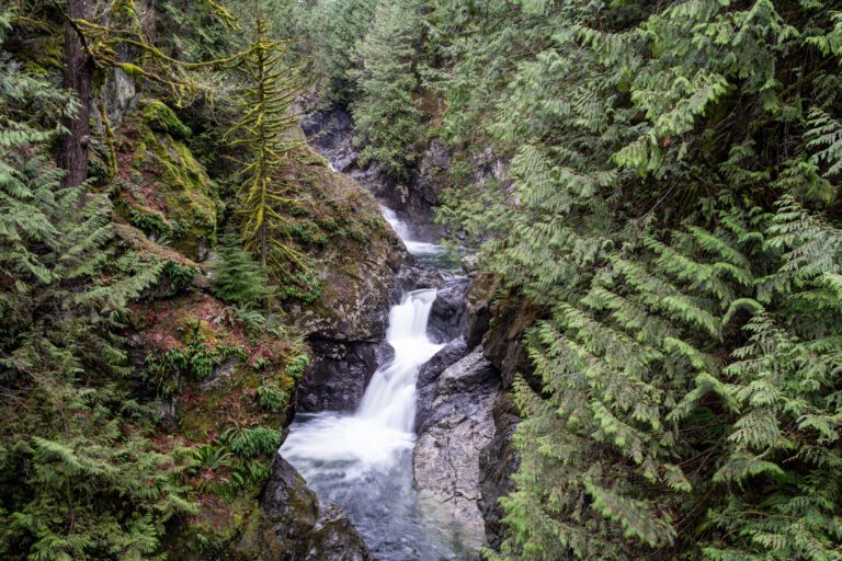 How to Hike the Twin Falls Trail in Washington State