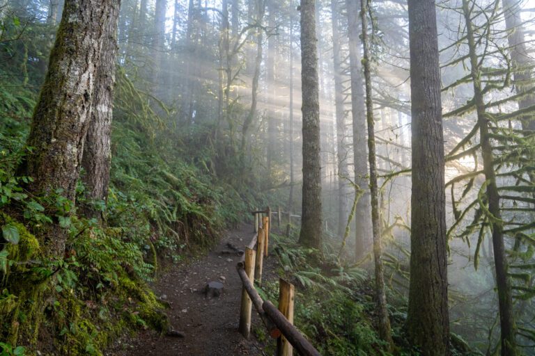 How to Hike the Wallace Falls Trail: A Complete Guide