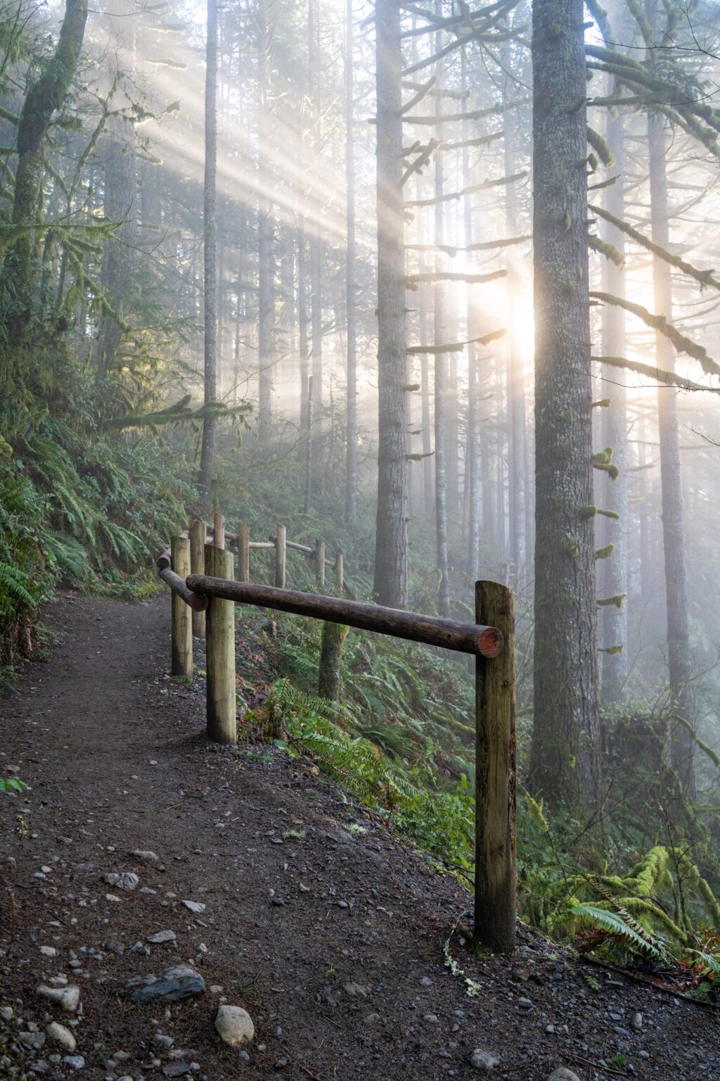 15 Incredible Waterfalls In Washington For Your Bucket List