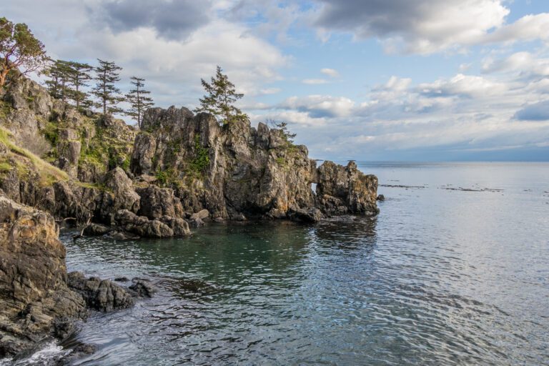 How to Plan an Amazing Vancouver Island Road Trip Itinerary