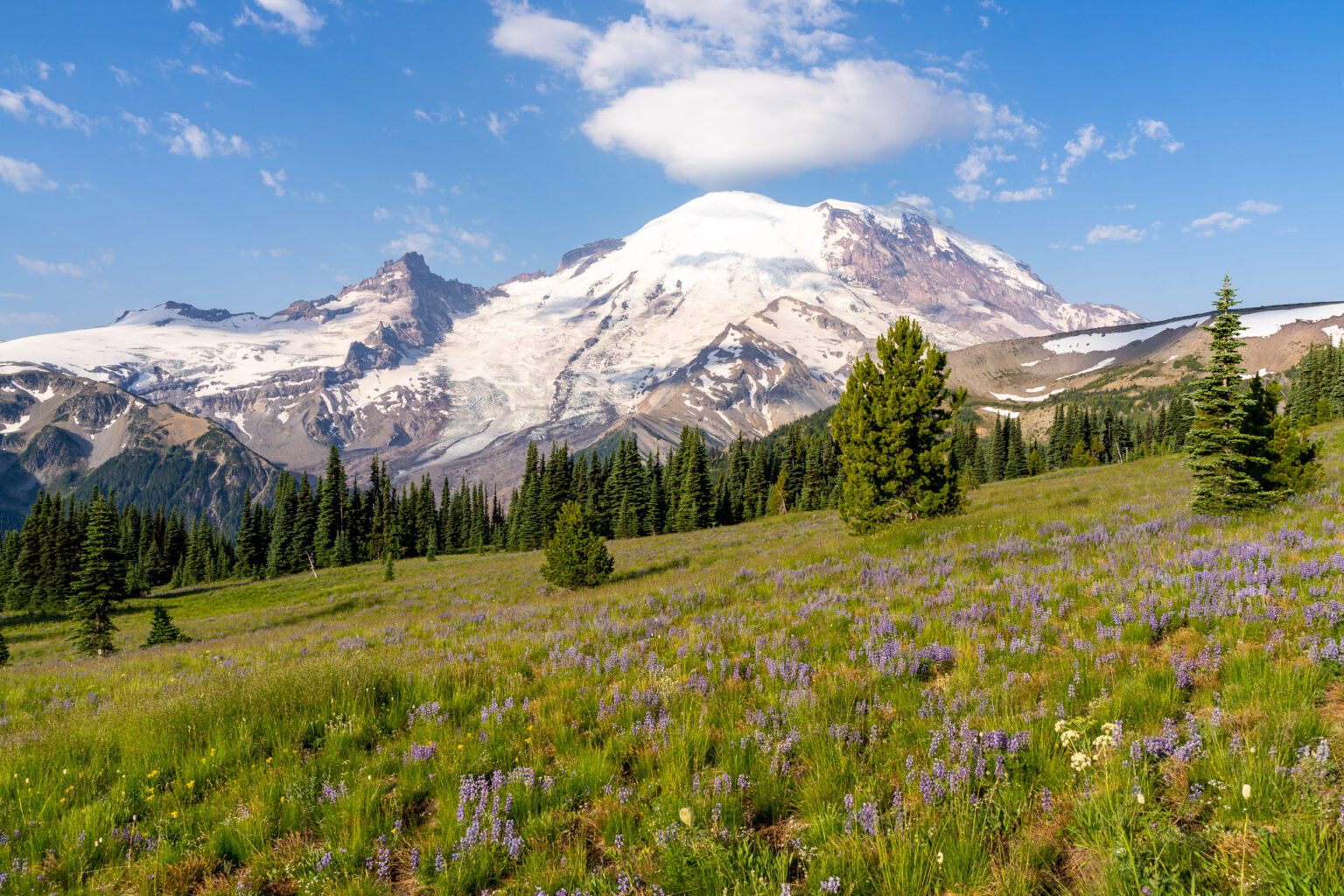 What Is The Best Time To Visit Mount Rainier? Complete Guide