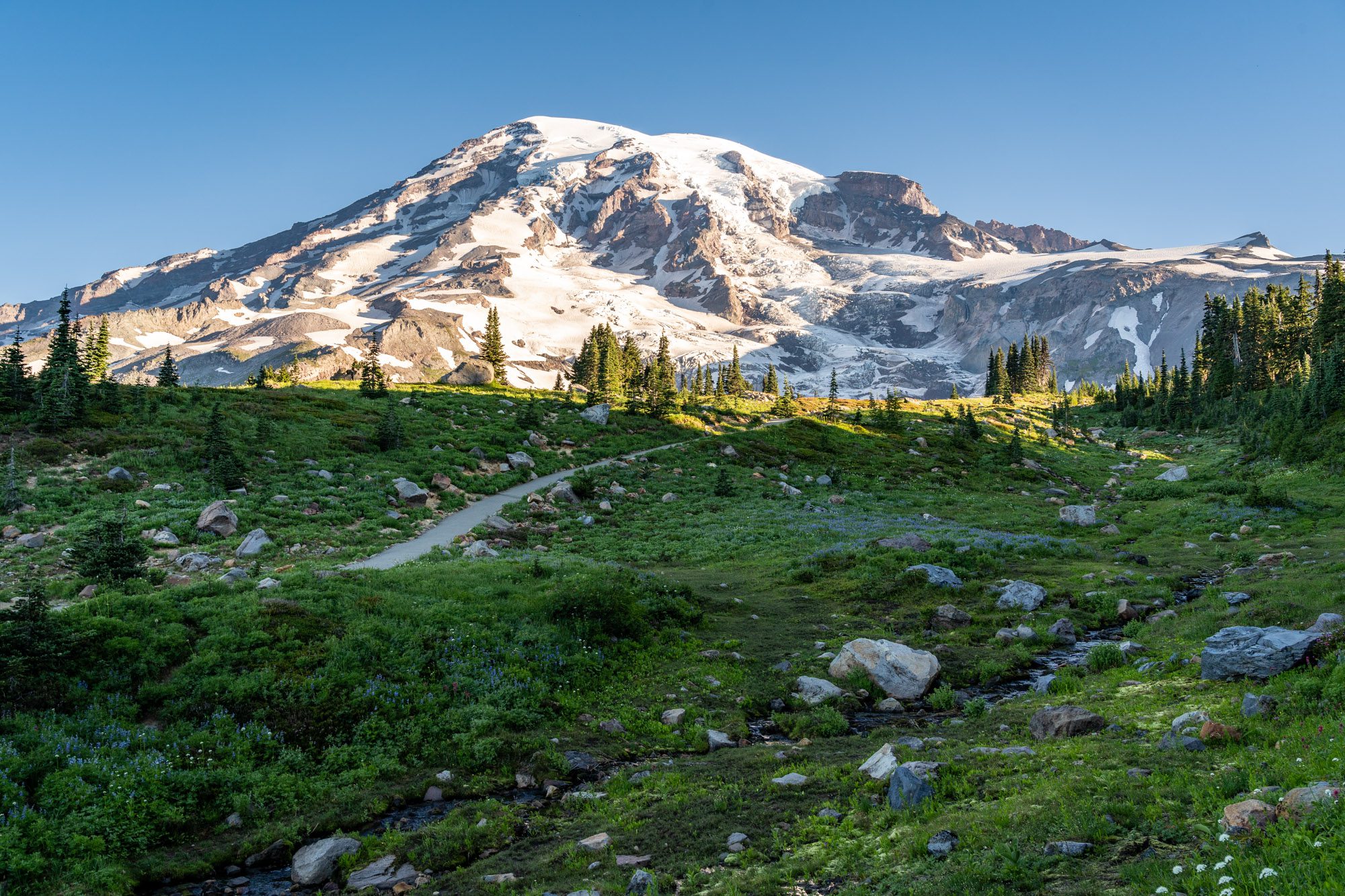 What is the Best Time to Visit Mount Rainier? Complete Guide