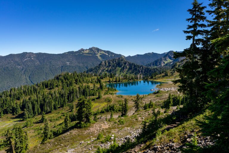 The Best Time to Visit Olympic National Park: Complete Guide